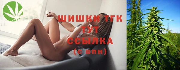 бошки Лабытнанги