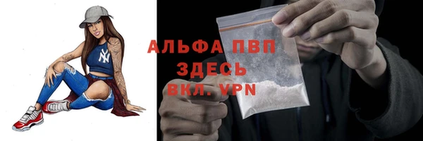 бошки Лабытнанги