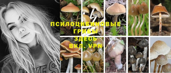 бошки Лабытнанги