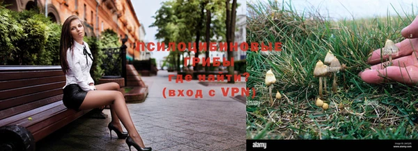 тгк Ладушкин