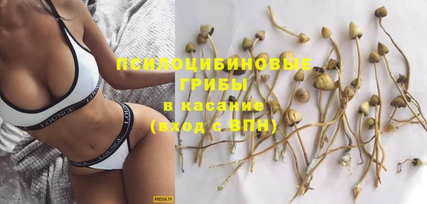 бошки Лабытнанги