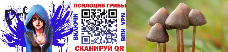Псилоцибиновые грибы мицелий  Купить закладки  Олёкминск 